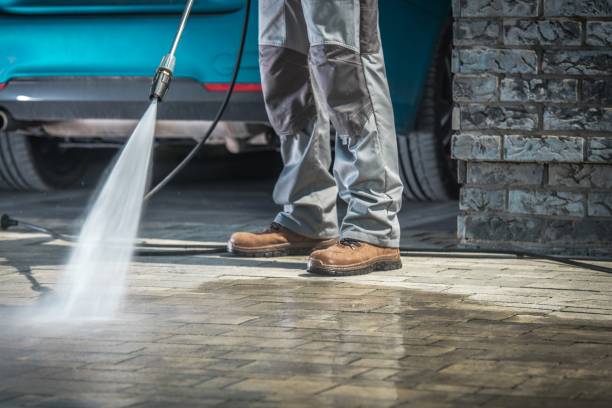 Best Paint Preparation  in Imlay City, MI