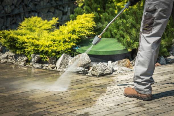 Best Parking Lot and Garage Cleaning  in Imlay City, MI