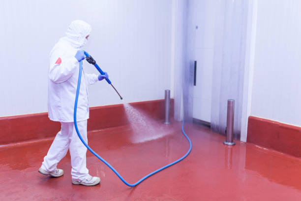 Best Building Exterior Washing  in Imlay City, MI
