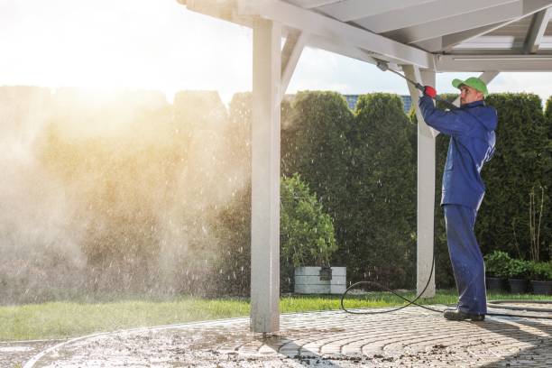 Best Solar Panel Cleaning  in Imlay City, MI
