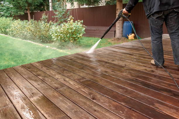 Best Dumpster Area Cleaning  in Imlay City, MI