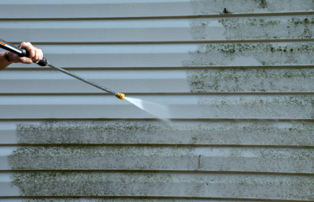 Best Driveway Pressure Washing  in Imlay City, MI