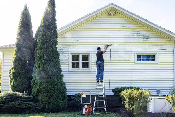 Best Graffiti Removal  in Imlay City, MI